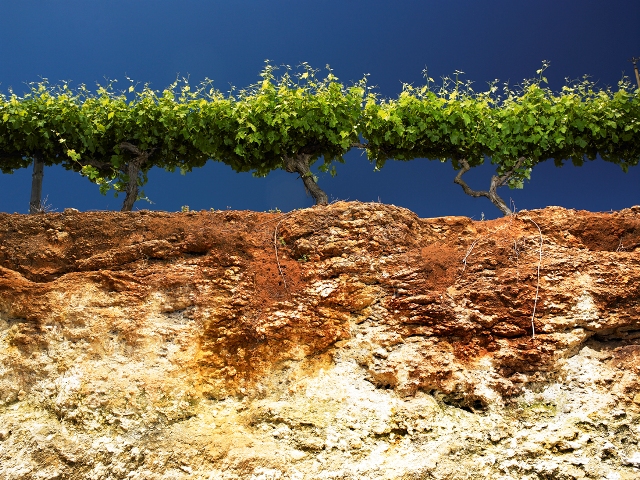 coonawarra, terra rossa soil profile